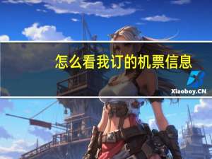 怎么看我订的机票信息
