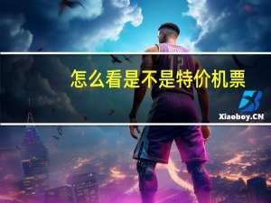怎么看是不是特价机票