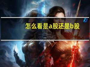 怎么看是a股还是b股