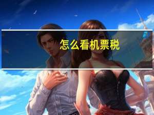 怎么看机票税