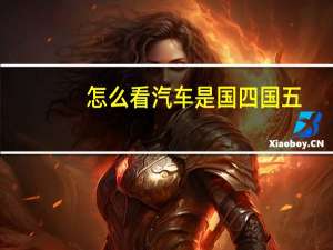 怎么看汽车是国四国五