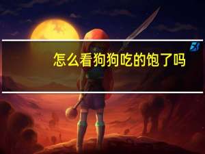 怎么看狗狗吃的饱了吗