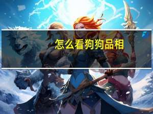 怎么看狗狗品相
