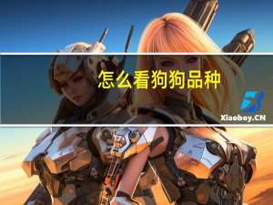 怎么看狗狗品种