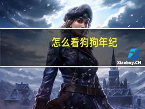 怎么看狗狗年纪