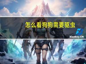 怎么看狗狗需要驱虫