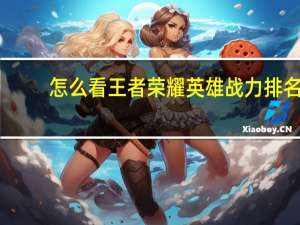 怎么看王者荣耀英雄战力排名（王者荣耀哪个地方荣耀战力低）
