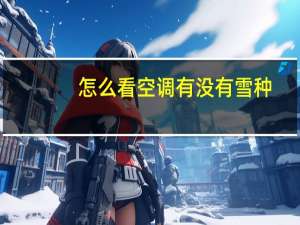 怎么看空调有没有雪种