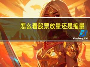 怎么看股票放量还是缩量