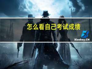 怎么看自己考试成绩
