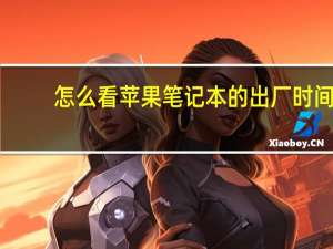 怎么看苹果笔记本的出厂时间