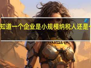 怎么知道一个企业是小规模纳税人还是一般纳税人