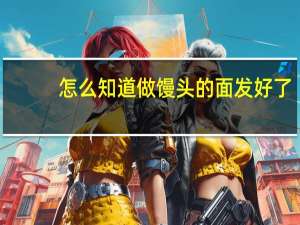 怎么知道做馒头的面发好了