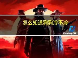 怎么知道狗狗冷不冷