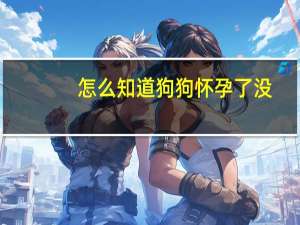 怎么知道狗狗怀孕了没
