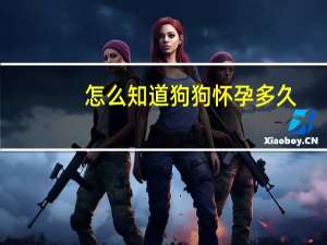 怎么知道狗狗怀孕多久