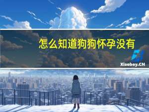 怎么知道狗狗怀孕没有