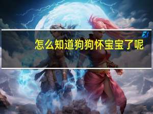 怎么知道狗狗怀宝宝了呢