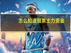 怎么知道股票主力资金
