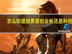 怎么知道股票是创业板还是科创板（怎么知道股票是创业板）