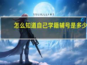 怎么知道自己学籍辅号是多少
