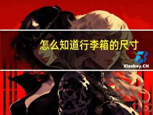 怎么知道行李箱的尺寸