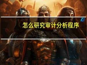 怎么研究审计分析程序