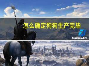 怎么确定狗狗生产完毕
