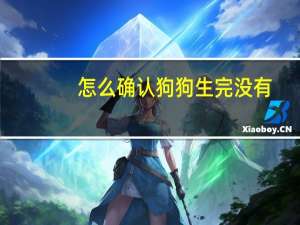 怎么确认狗狗生完没有