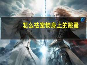 怎么祛宠物身上的跳蚤