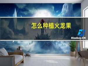 怎么种植火龙果