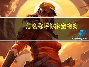 怎么称呼你家宠物狗