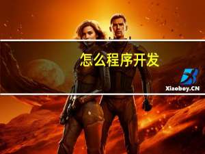 怎么程序开发