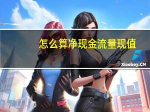 怎么算净现金流量现值