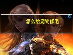 怎么给宠物修毛