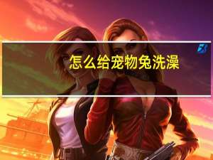 怎么给宠物兔洗澡