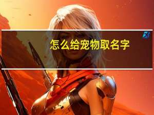 怎么给宠物取名字