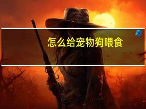 怎么给宠物狗喂食