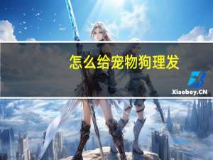 怎么给宠物狗理发