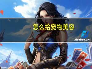 怎么给宠物美容