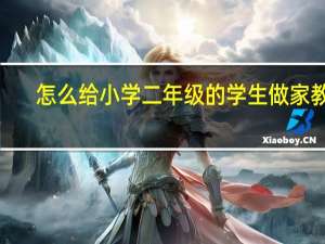 怎么给小学二年级的学生做家教5