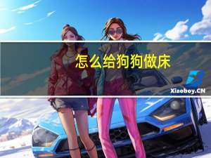 怎么给狗狗做床