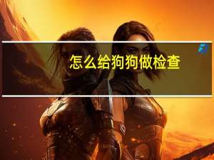 怎么给狗狗做检查