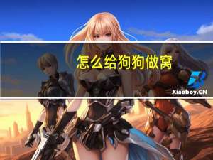 怎么给狗狗做窝