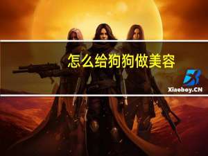 怎么给狗狗做美容
