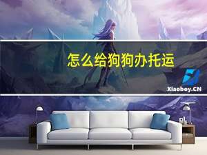 怎么给狗狗办托运
