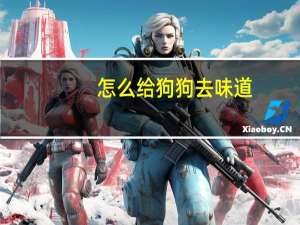怎么给狗狗去味道