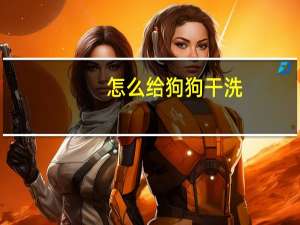 怎么给狗狗干洗