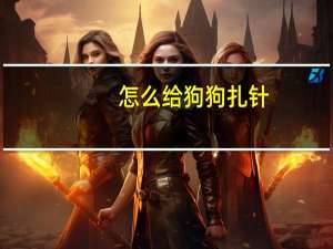 怎么给狗狗扎针