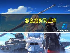 怎么给狗狗止痒